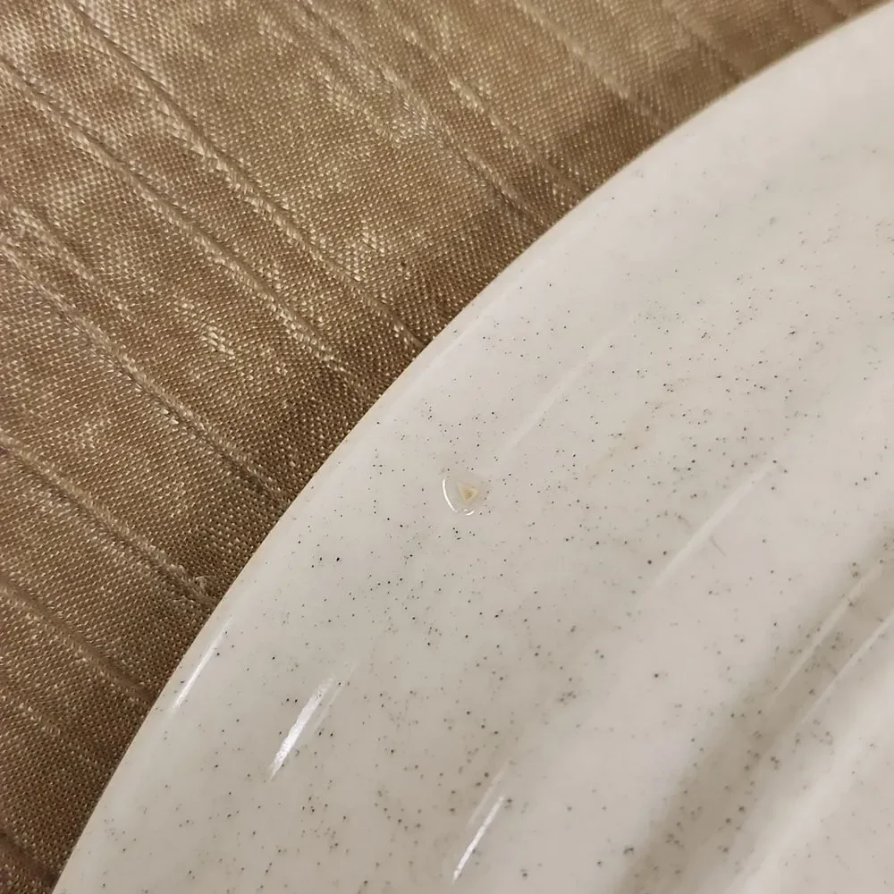 Mikasa Stone Manor Melissa F5811 Dinner Plate 11